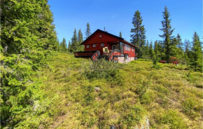 Amazing Home In Sjusjøen With Wifi